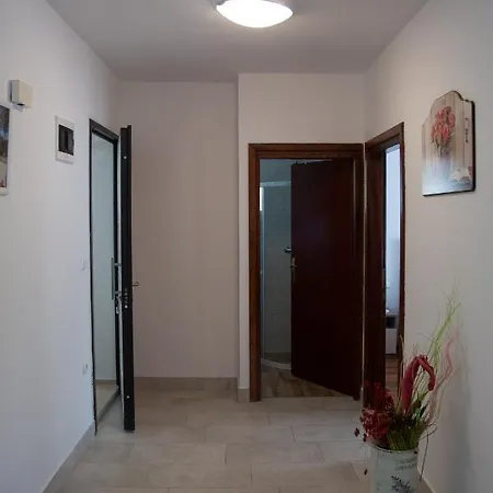 Miki * Fazana